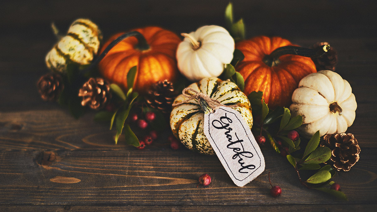 45 Thanksgiving weekend subject lines worth falling for