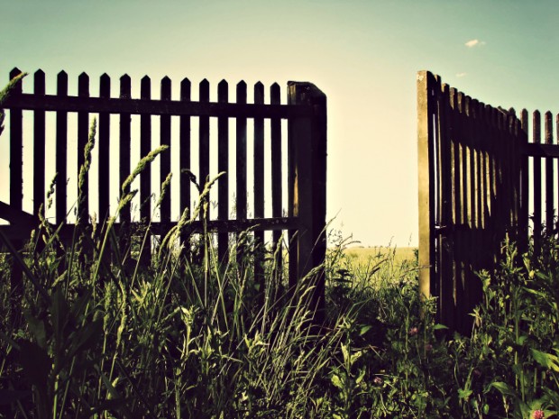 To Gate, or Not to Gate? Why You Should Give Your Content Away
