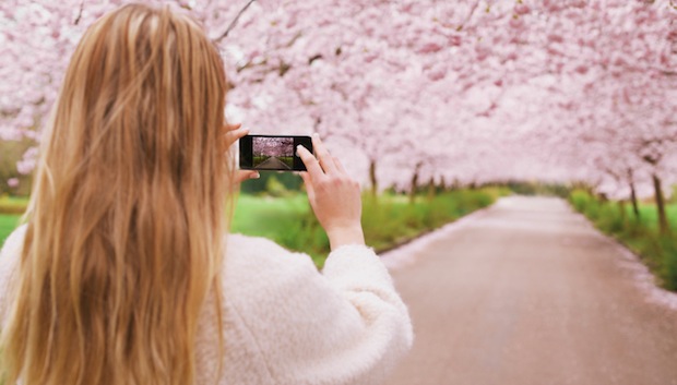 9 Tips for Taking Top-Notch Smartphone Photos