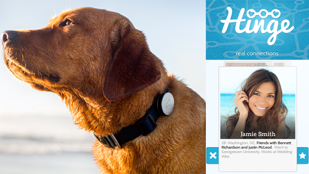 What’s New Weekly – Dog Health App Whistle + Mobile Dating App Hinge [VIDEO]