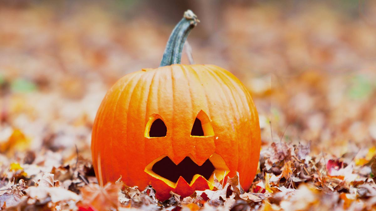 Halloween Email for Work | Spine-tingling good Halloween emails that are haunting our inboxes