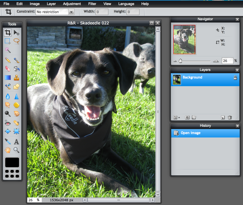 3 Free Photo Editing Tools That'll Give Your Pics ShamWow