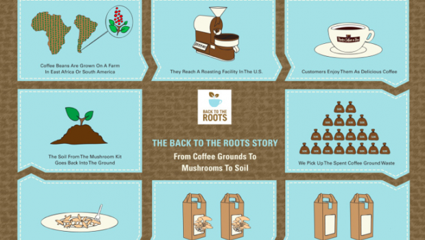 Small Business Innovators – Back to the Roots
