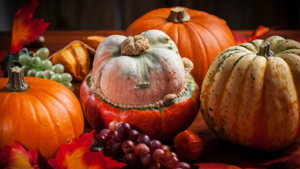 Essential Fall Holidays to Recall