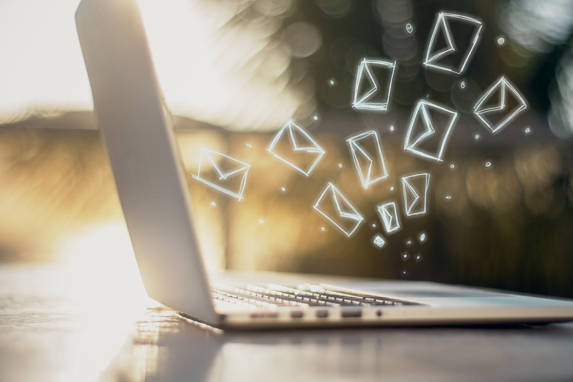 What Are the Different Types of Email Campaigns? All You Need to Know