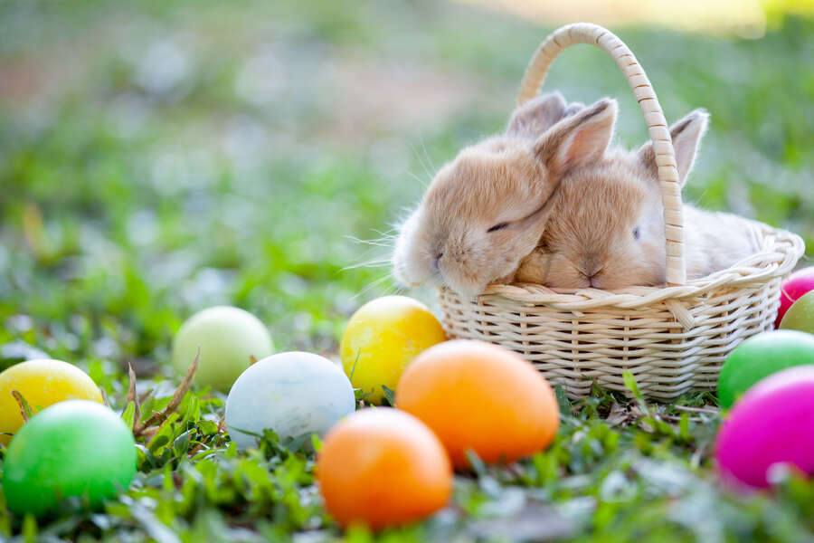 Boost Easter Sales and Clients with SEO